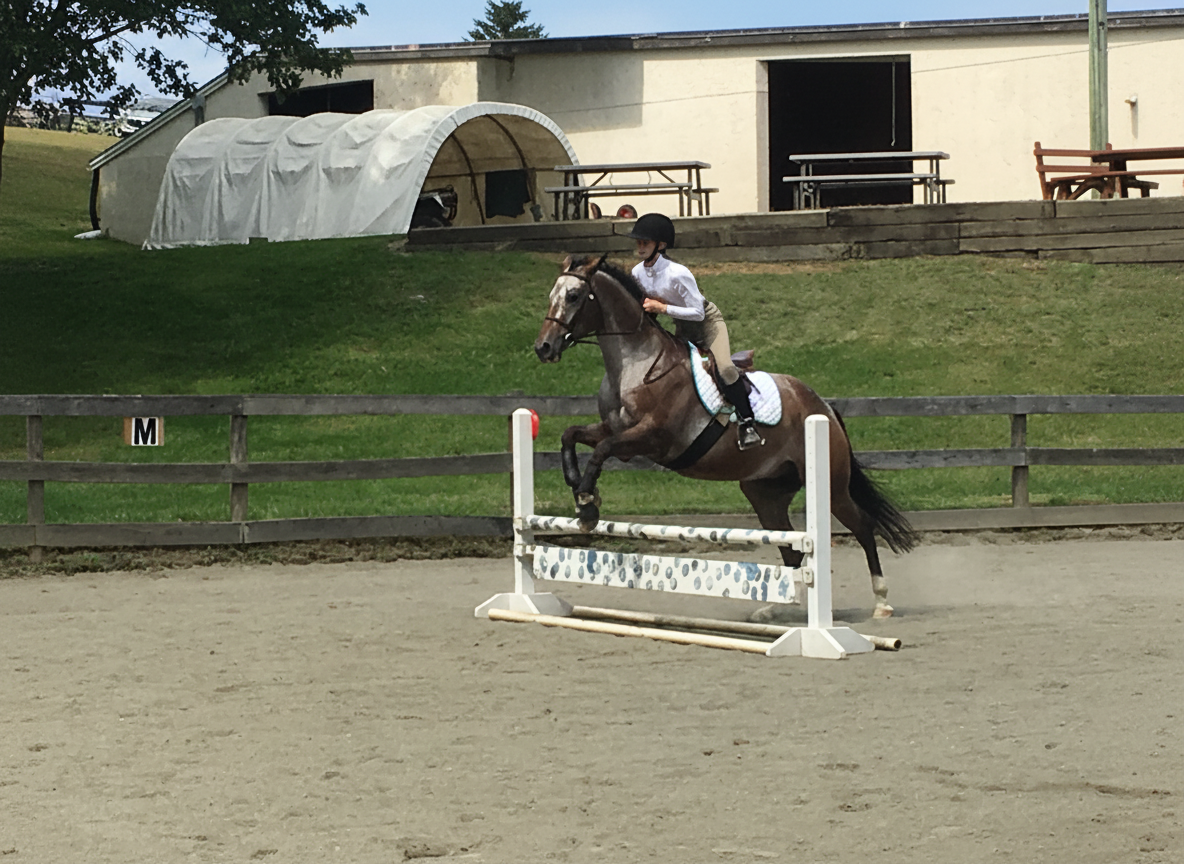 Rider on a gray horse jumping in the outdoor ring
