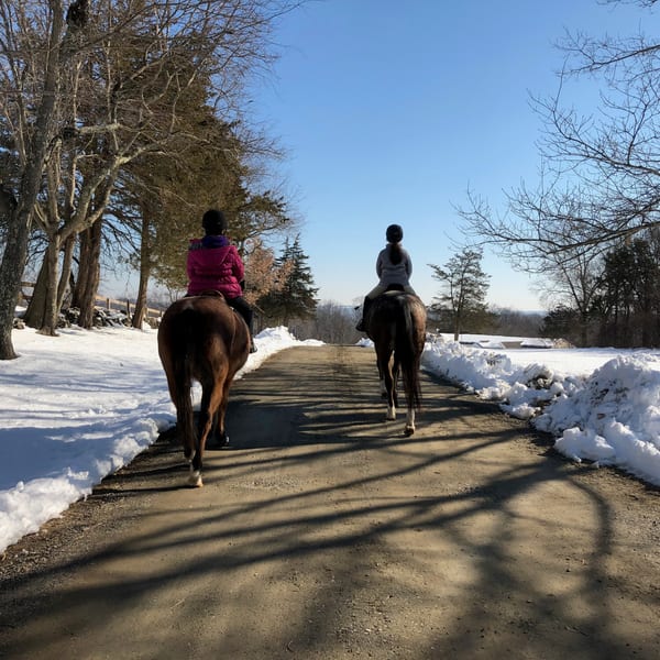 Semi-private horseback riding lesson at Sunny Brook Farm
