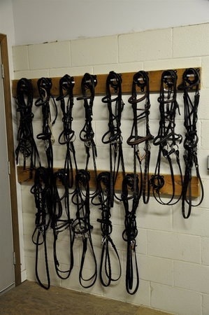 Tack room bridle rack