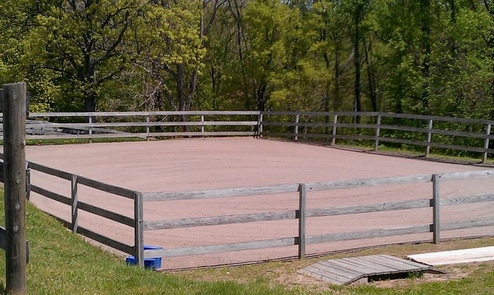 Schooling Ring