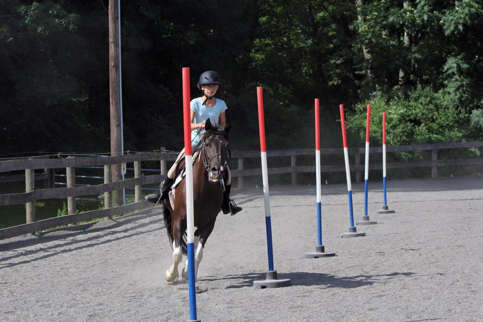 Rider in a fenced outdoor arena